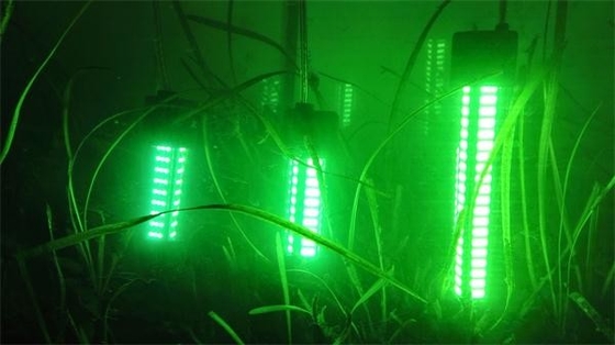 1000W Bait Deep Drop Underwater Led Fishing Lights With IR Radiation Resistance